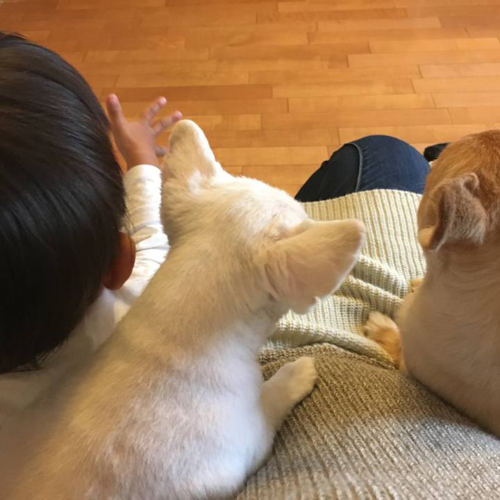 936541be 7f17 4a99 817d 83f62a7b4786