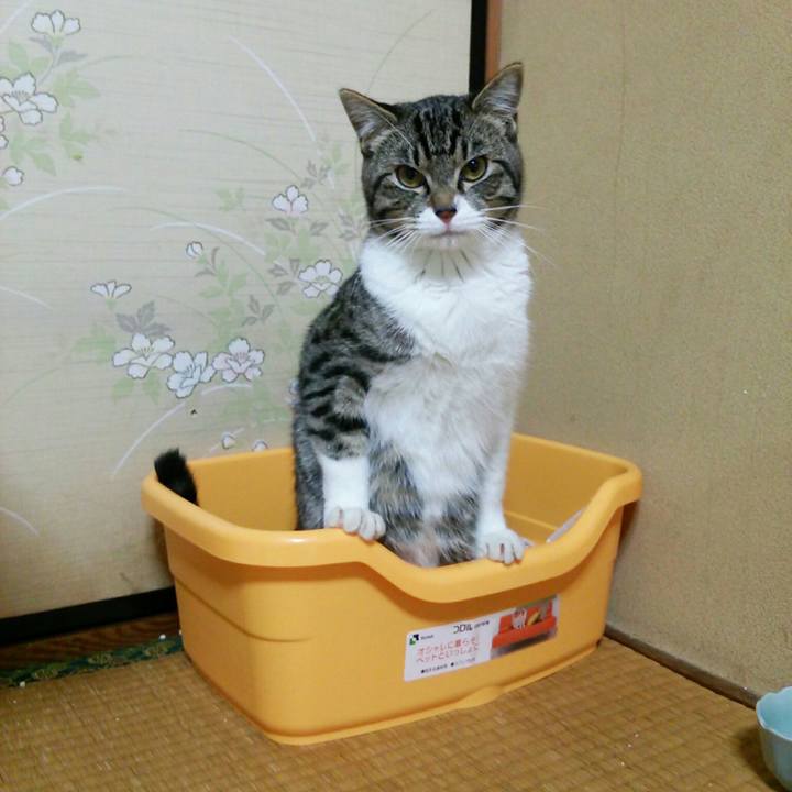 93657ce5 76ba 4911 9b3d 4009a9f6dfa4