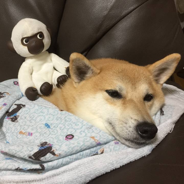 93659659 5e6e 4065 bc92 b81e0f59b5b3