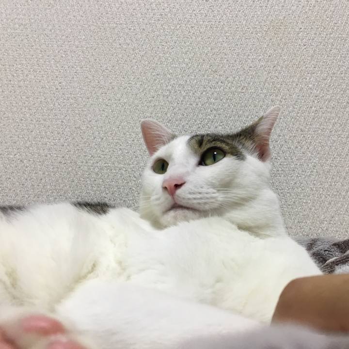 9365bc38 80ca 4903 bdec 299029563911