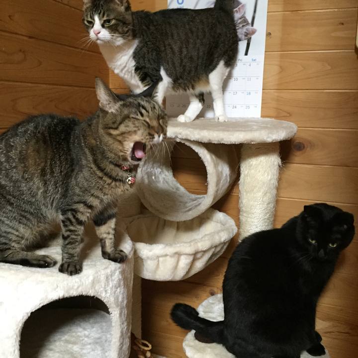 93665248 d2e8 43a6 b668 1980ee474e10