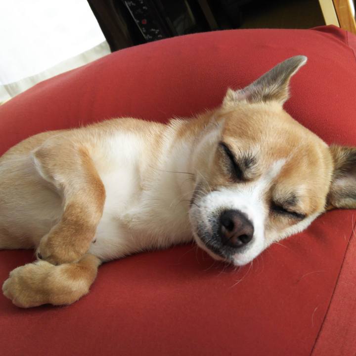 93667378 fe15 4e27 aac3 6ad4836569dc