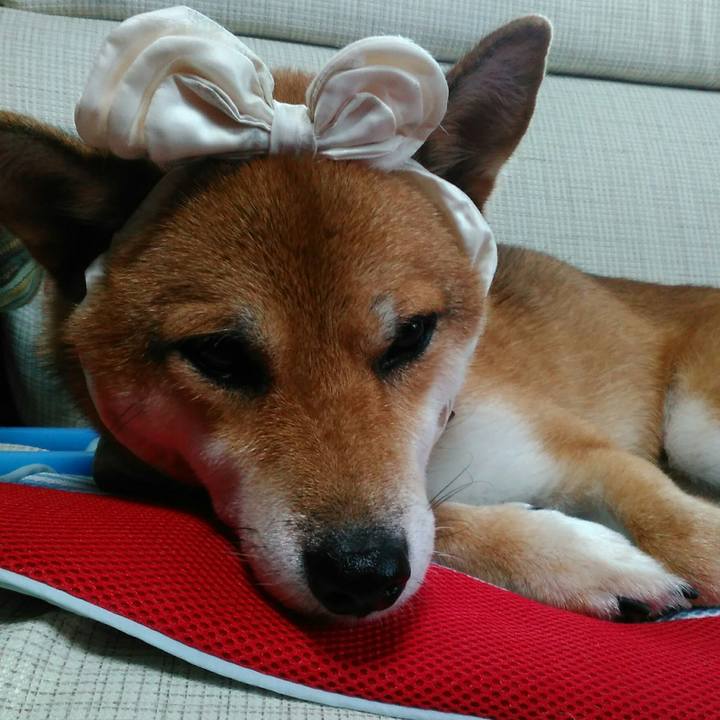 9366e433 2892 42c8 ab92 338d110bc0c0