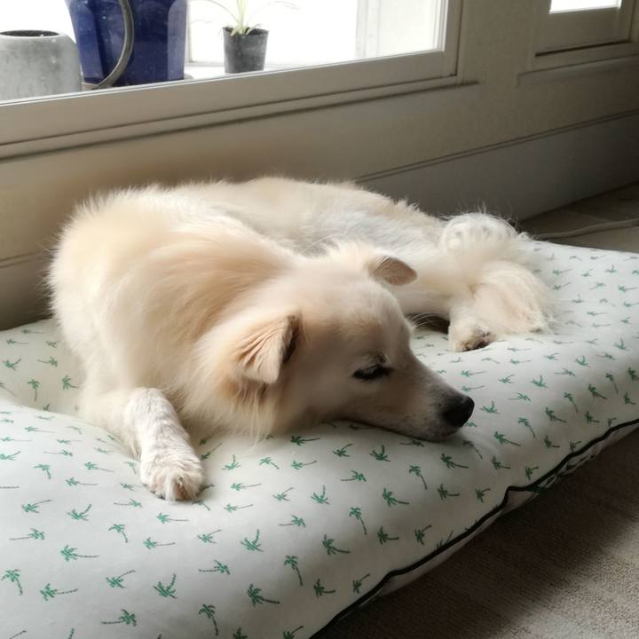 9367f587 c0cc 4401 b791 6d1b0d5de2bb