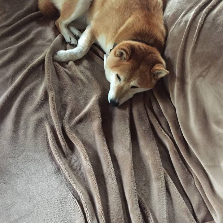 9368eaa1 7ce1 430e b1e2 b7b316cda4e6