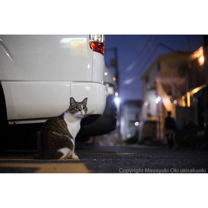 9369233e c411 410c b174 28a0d2e6fbe2