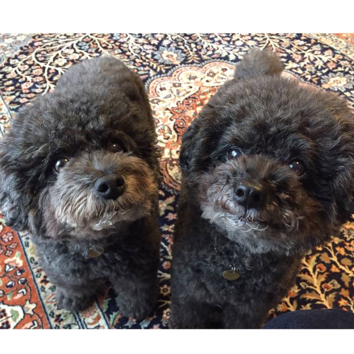 936a0027 087d 4f68 8554 6320ab7a5db5