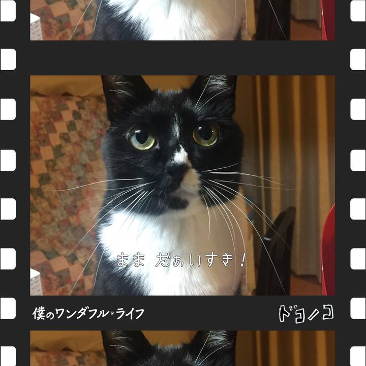 936a0118 7b43 4a49 b80c 9f7fbb2a101a