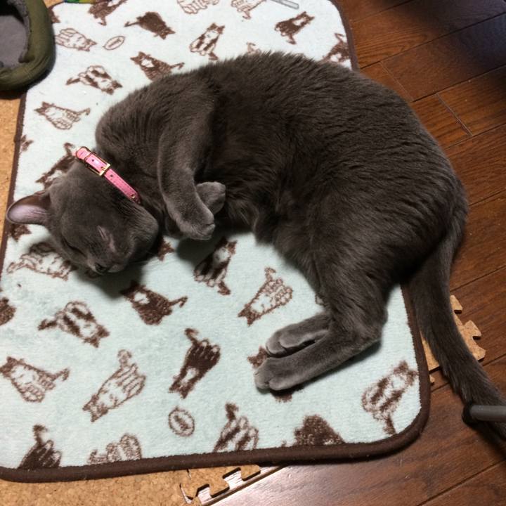 936a573f 8d66 4537 9b22 9e7a5e9a9b2f