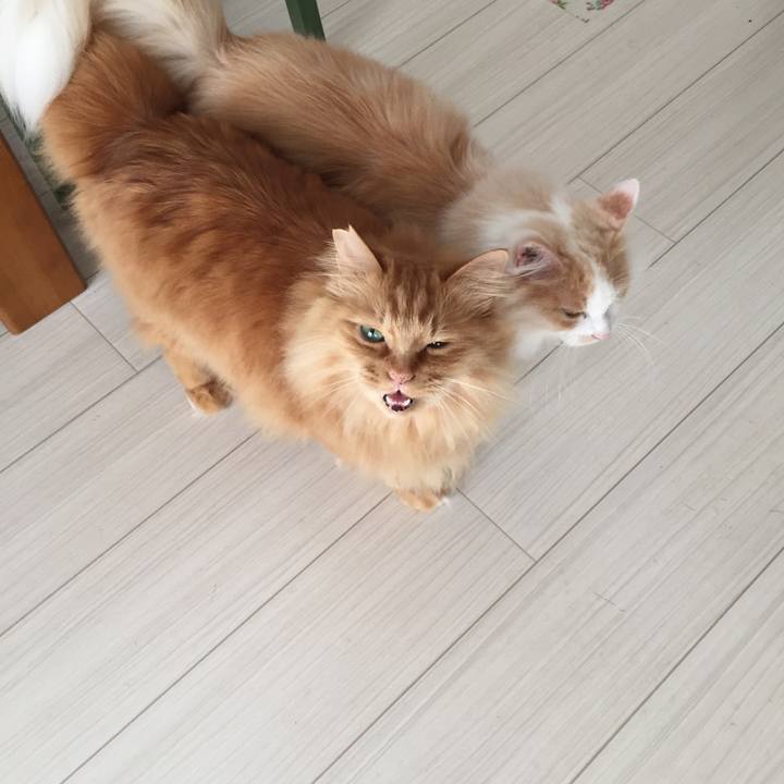 936a7d57 72d2 48a2 bdb3 e0bf9021fc74