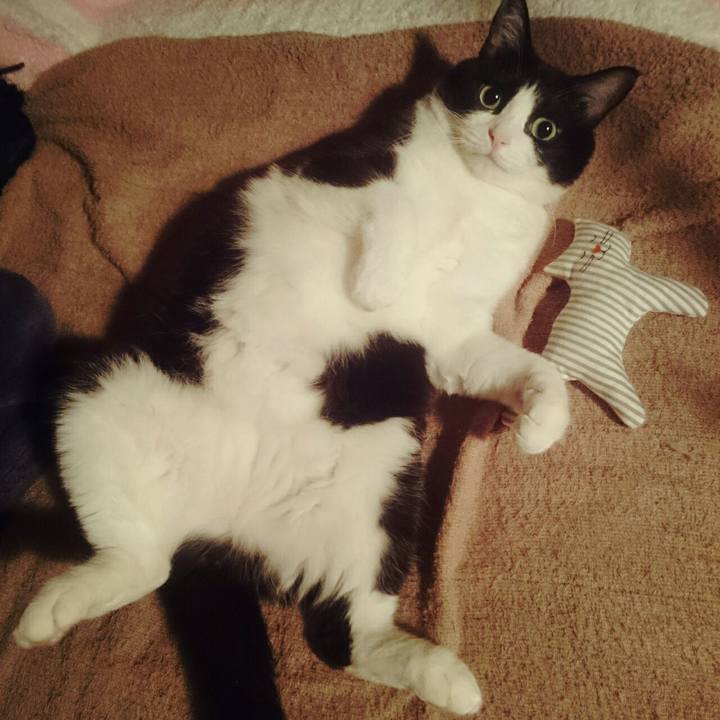 936ab6ef df83 4bc6 99bc 016ab1a0e12a