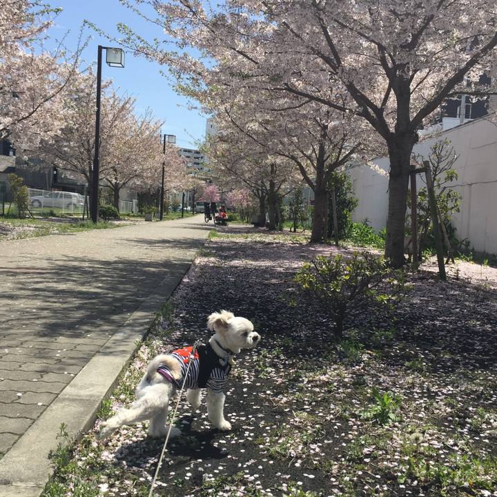 936b907a 90aa 48d3 92ad 6d2f11cd2133