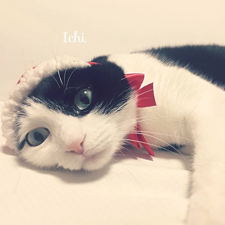 936bbd05 2439 416d 82dd 4f117ecd49c6