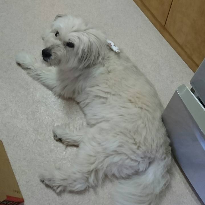 936c24d9 e168 426f 8a3c 02c82c24010b