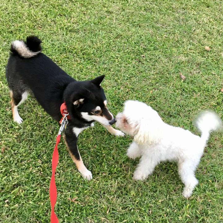 936c7131 7d61 42de a936 585d53143968