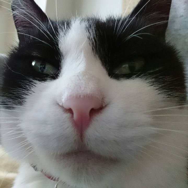 936d54d9 dd95 49c2 b280 838d45b24b5b