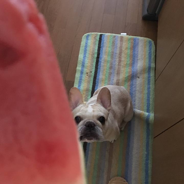 936dbf70 8ffe 4bb8 aac8 9017bf3b4817