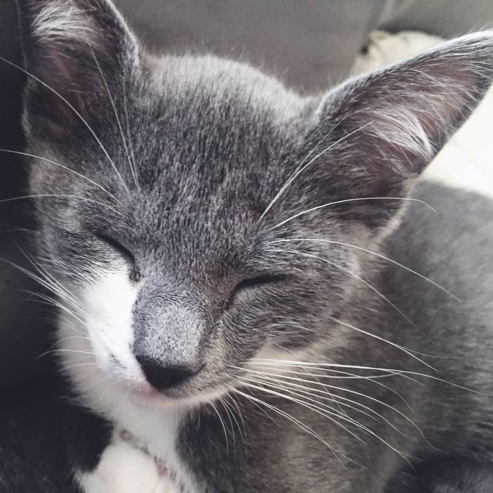 936dfc94 835b 4071 a20b e6cf77a8971f