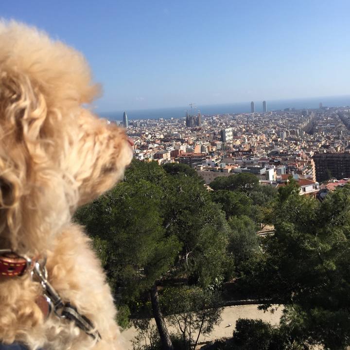 936e4420 1edb 43b3 80eb 81f2205f5006