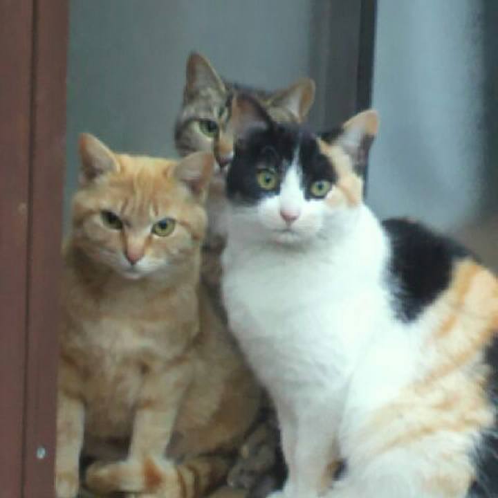 936e91cb 7d5b 4156 a31b b0b1e713d361