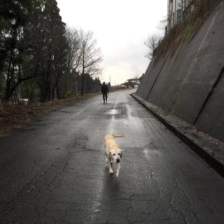 936fa9df 8d5b 4d15 8d1f b0759b824f29