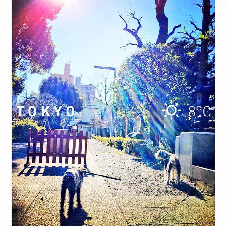 936fe1a8 afef 4940 ab1b 0eb75df73d9f