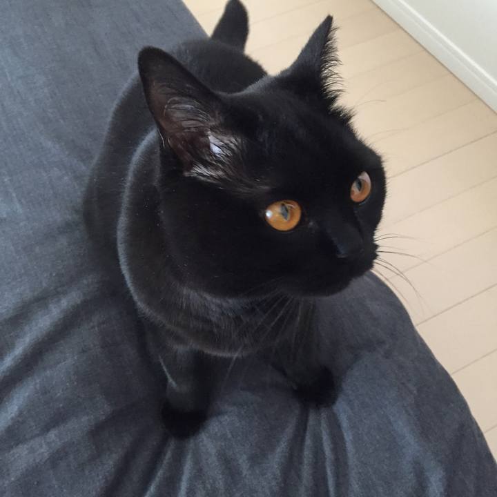 937012d9 1e8a 486b ac1f 4f09357e5713