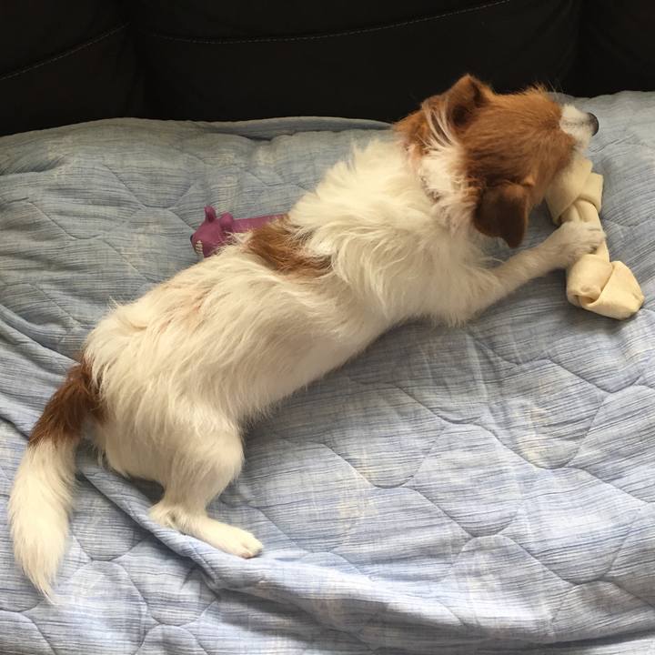 9370fa64 b79c 4c8f 9cff 57e69a8097d0