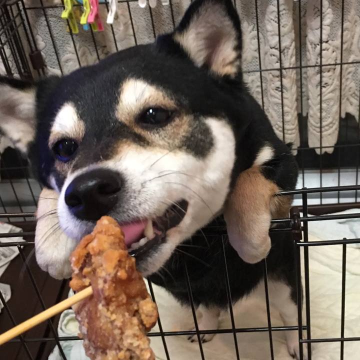 93718cc0 2774 4df3 ab66 e50dfd8ea67f