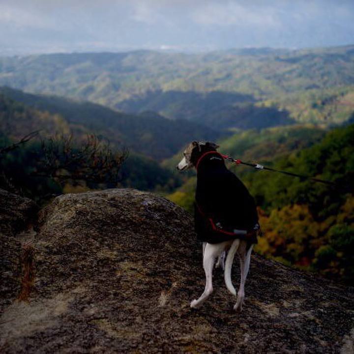 937212ee c818 4658 b304 1ab705de2c80