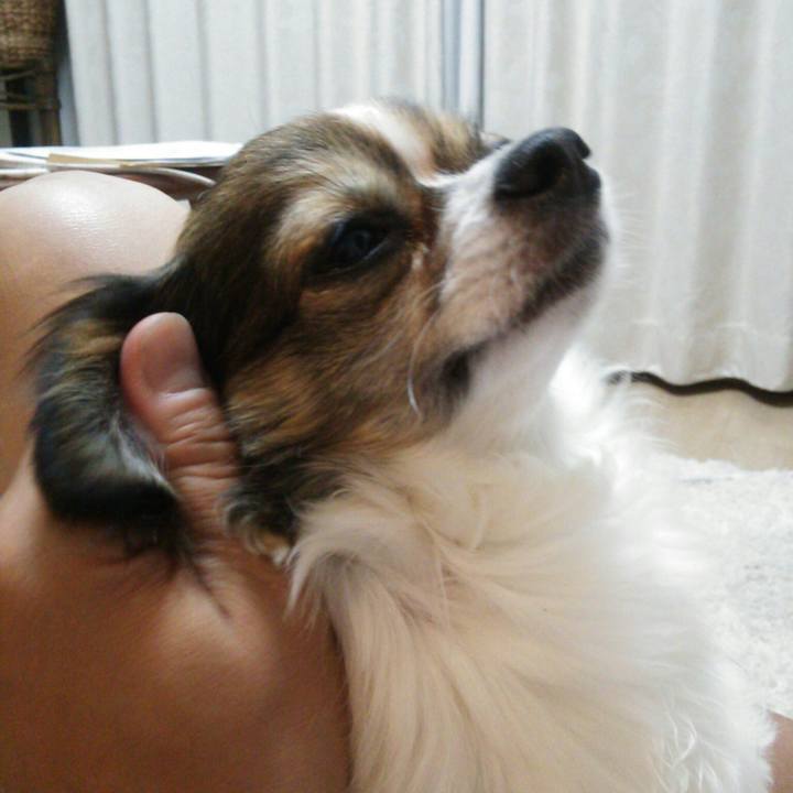 9372a13c 3c91 4845 9878 29df0bef5d45