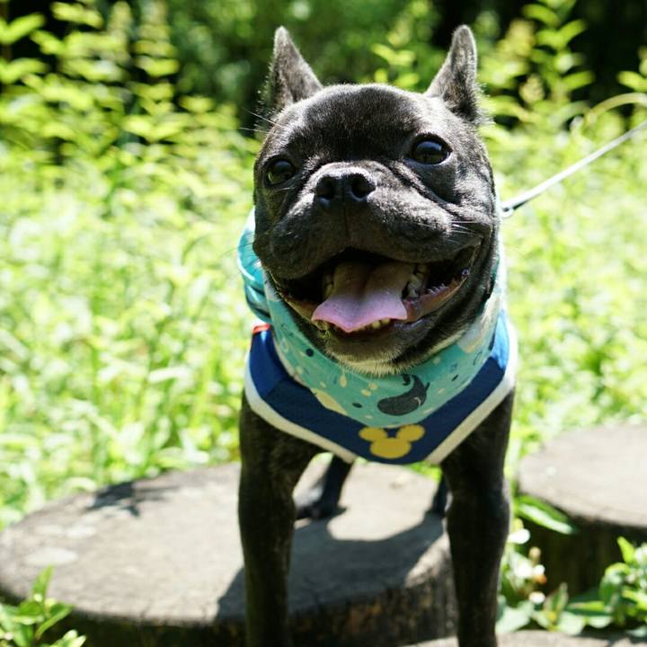 9372b987 12d4 4e72 a30c 87f43f7889df