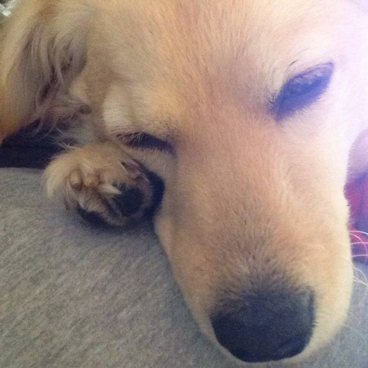 937383d2 9c1d 4cde 9ff3 c54e9e040528