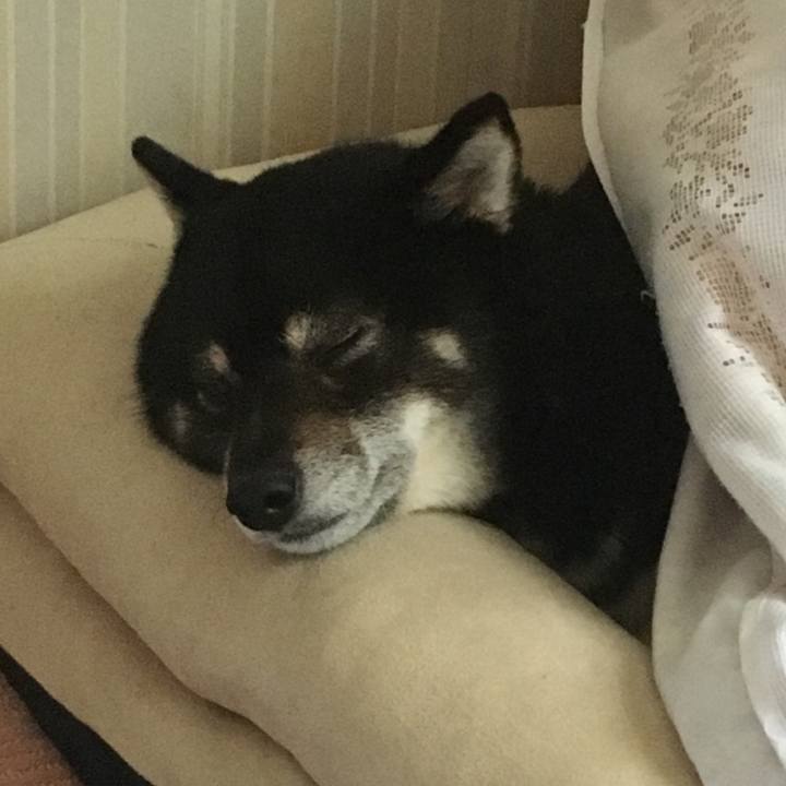 9373aacd c3b2 4f65 bf59 502273b3e7af