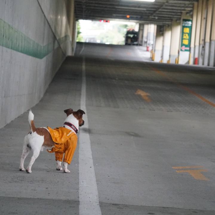 9373b88f 1fca 412d a003 656fe655c840