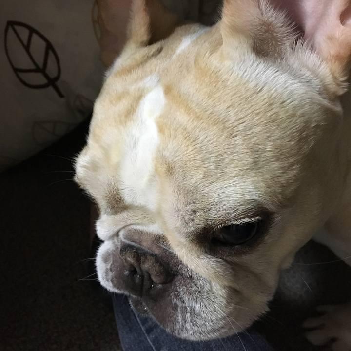 93742662 b658 4980 813d f19b82840105