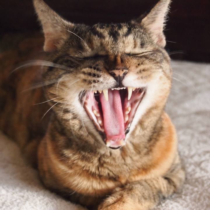 9374329d d626 4583 99fd 48998602874d