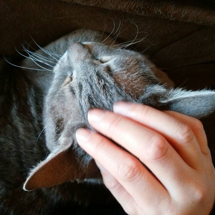 93743f33 009c 48ab b4fe 0c75f786d326