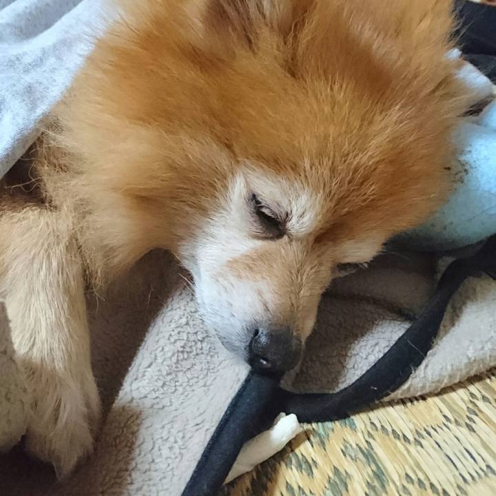 9374479f 2aac 41d9 96c5 dc82f064112a