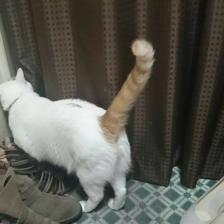 9374f0f3 1a5e 4f79 bebe 2af2f3d7d0c8