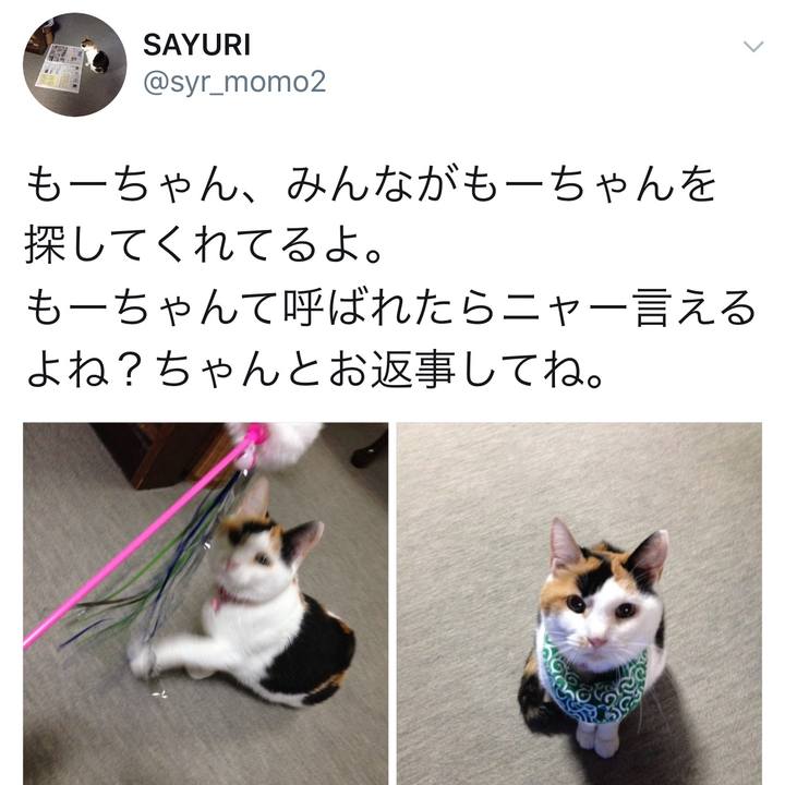 93758137 505e 4864 a9b6 e62ed1f09383