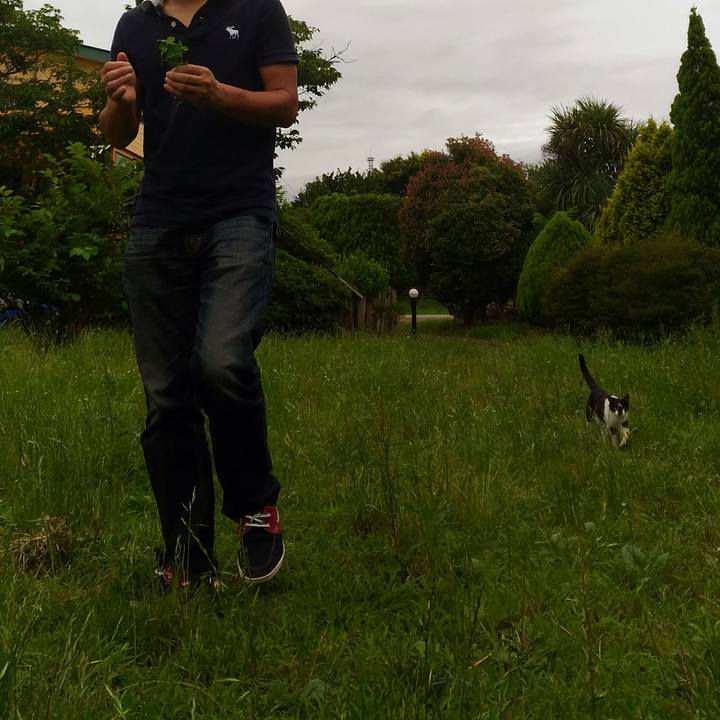 93759380 80fe 4614 9502 c29de560288b