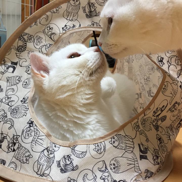 93763f43 d9c2 46fd 88ec e978f538c08a