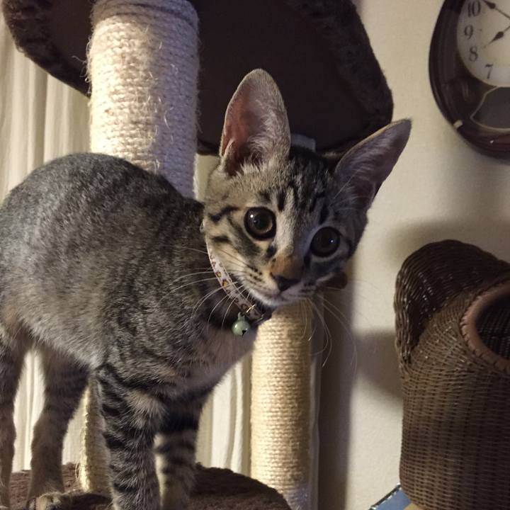 93767eb0 162b 4740 91ce 56e28db6616f