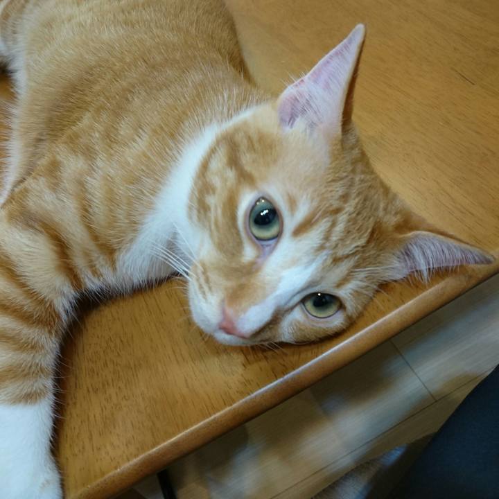 937689f1 46e9 453a acc0 b2f7fe19c2de