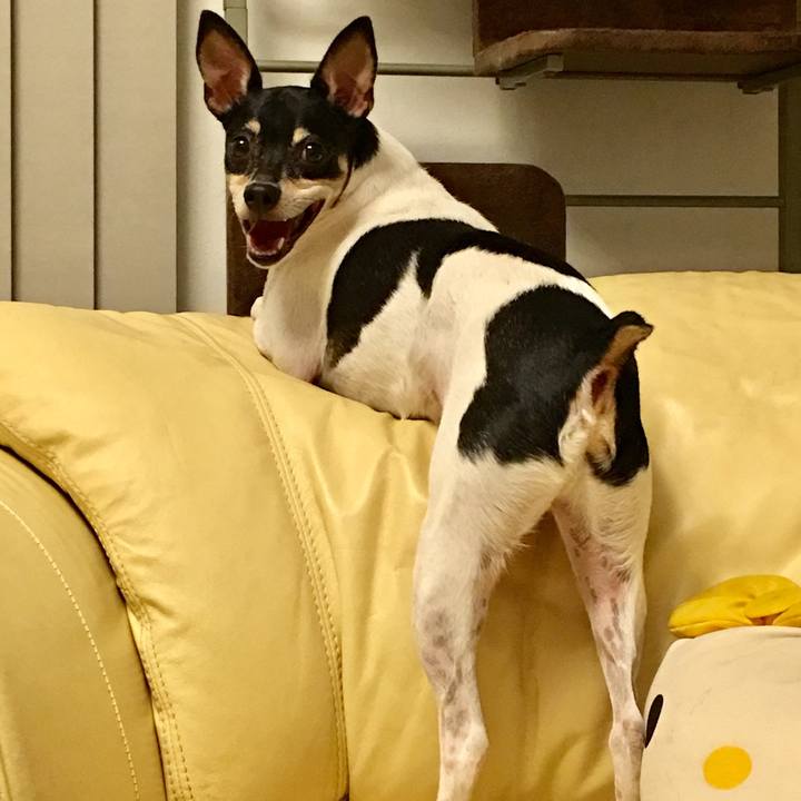 9376e711 7014 40fe 9bac 35f7d60c0e7d