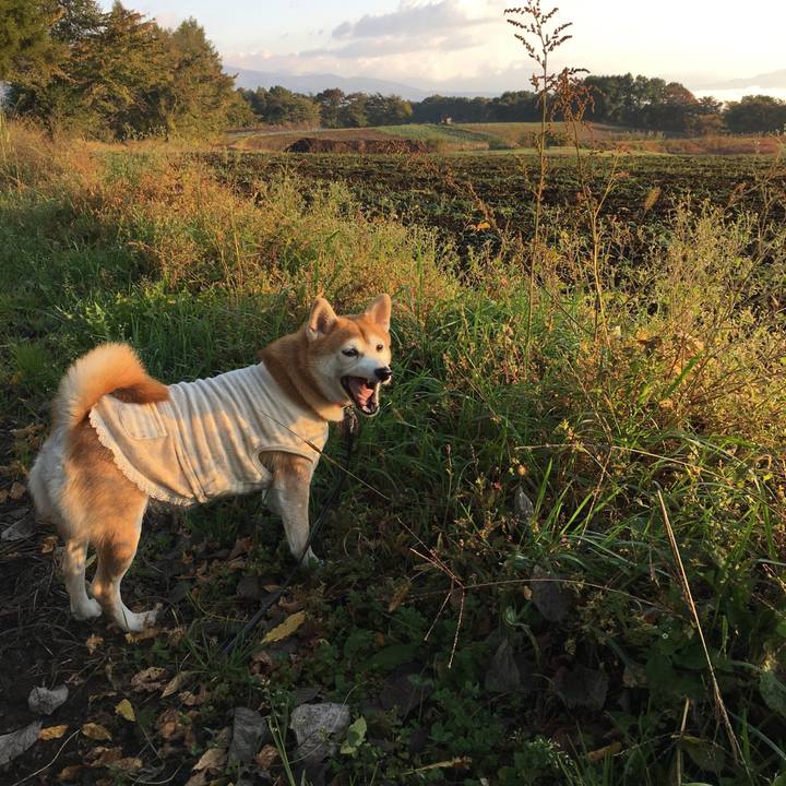 9377f5e9 5158 4b14 a571 9dccc8e6c232