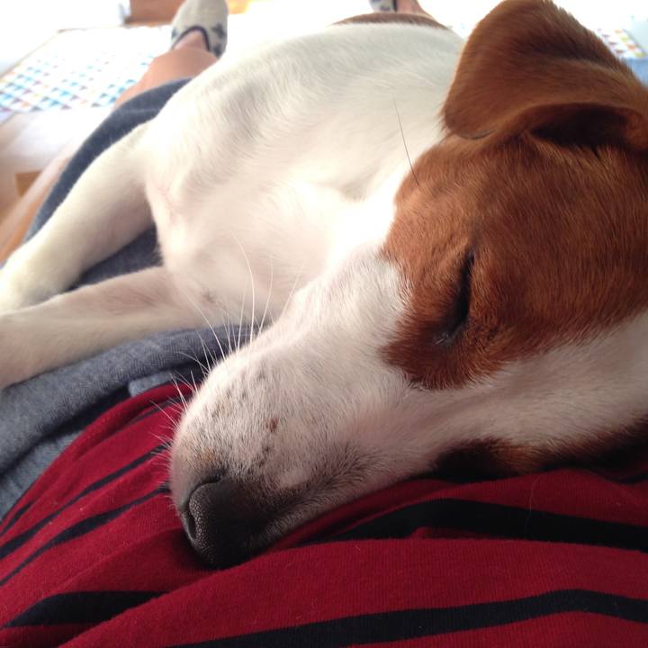 93783052 039a 4798 81f0 27d780ad0e4f