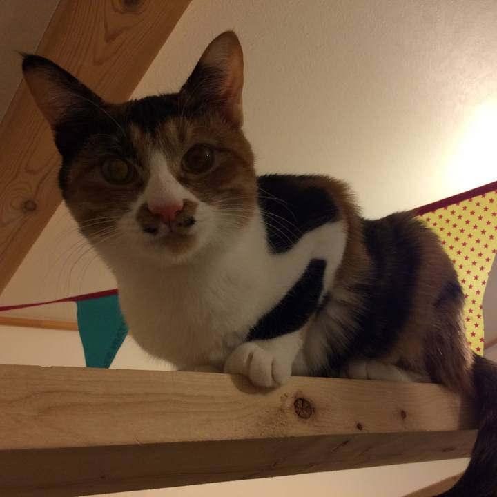 9378de29 0cca 4a28 82cb 4b55287f2804