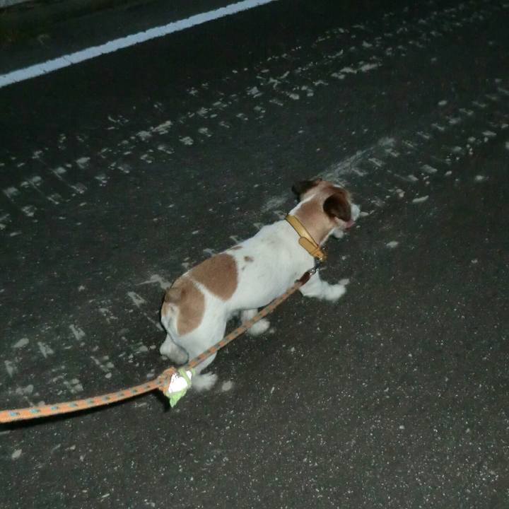 93796ca5 0e44 4d1f a0ee ac518a6c2434